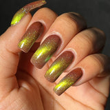 Fruit and Cheese Mold from the “It’s Giving Salad?” Collection