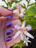 Midnight Aurora from the “Photo of the Month” Collection 5-free 15ml