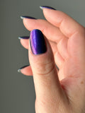 It’s Mer-Mazing- from the “Under the Sea” Collection