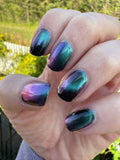 Make a Splash- from the “Under the Sea” Collection