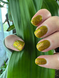 Don’t Stop Beleafing from the “Soil Mates” Collection 5-free 15ml