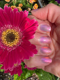 Bake It Easy from the “Nostalgic Vibes” Collection