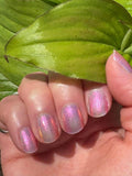 Bake It Easy from the “Nostalgic Vibes” Collection