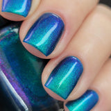 Calypso’s Birthday from the “Our Flag Means Death Pt 2” Collection 5-free 15ml