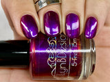 It’s Always Darkest Before the Prawn- from the “Under the Sea” Collection