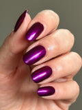 It’s Always Darkest Before the Prawn- from the “Under the Sea” Collection