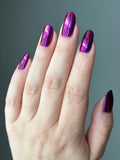 It’s Always Darkest Before the Prawn- from the “Under the Sea” Collection