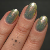 Celery Nut Circle from the “It’s Giving Salad?” Collection