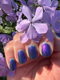 It’s Mer-Mazing- from the “Under the Sea” Collection