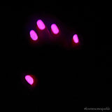 The Nightmare Persists 15ml 5-free