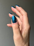 I Sea What You Did There- from the “Under the Sea” Collection