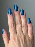 I Sea What You Did There- from the “Under the Sea” Collection